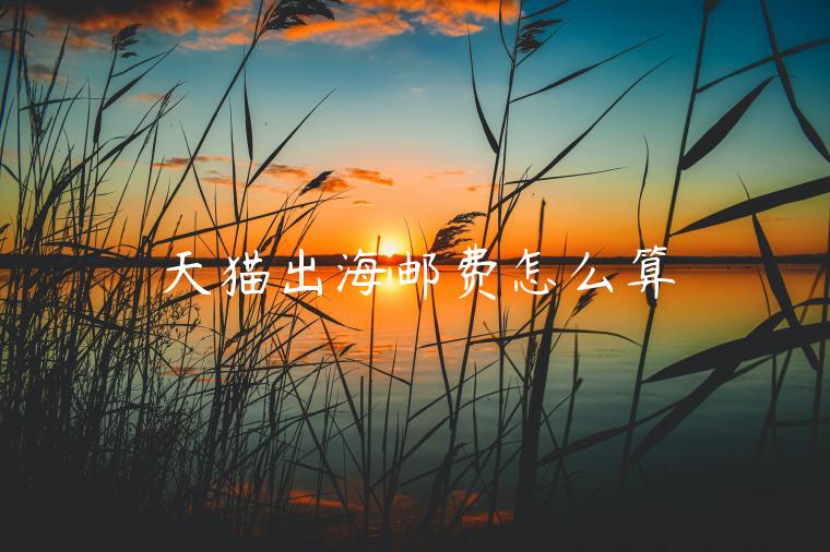 天貓出海郵費(fèi)怎么算